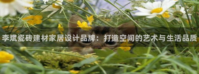 杏鑫平台念7O777