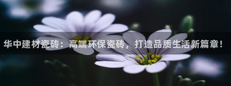 杏鑫平台直属哪个公司