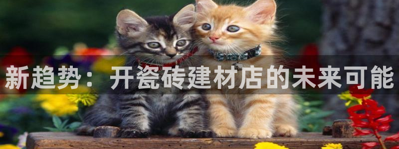 杏鑫娱乐官方网站客户端下载安装