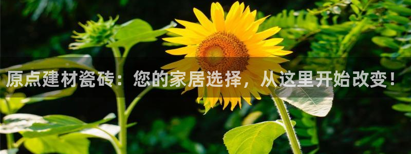 杏鑫平台代理怎么样可靠吗