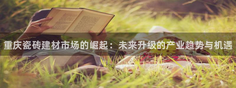 杏鑫平台代理注册流程及费用