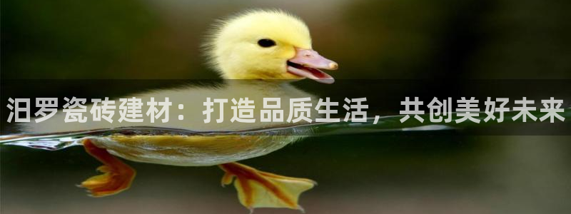 杏鑫官方平台怎么样啊知乎