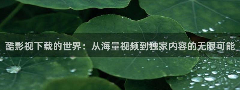 奇米影视第四色婷婷