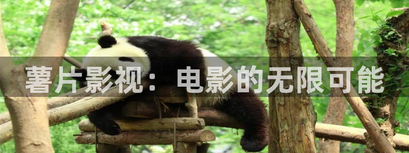 亚洲精品色婷婷在线影院